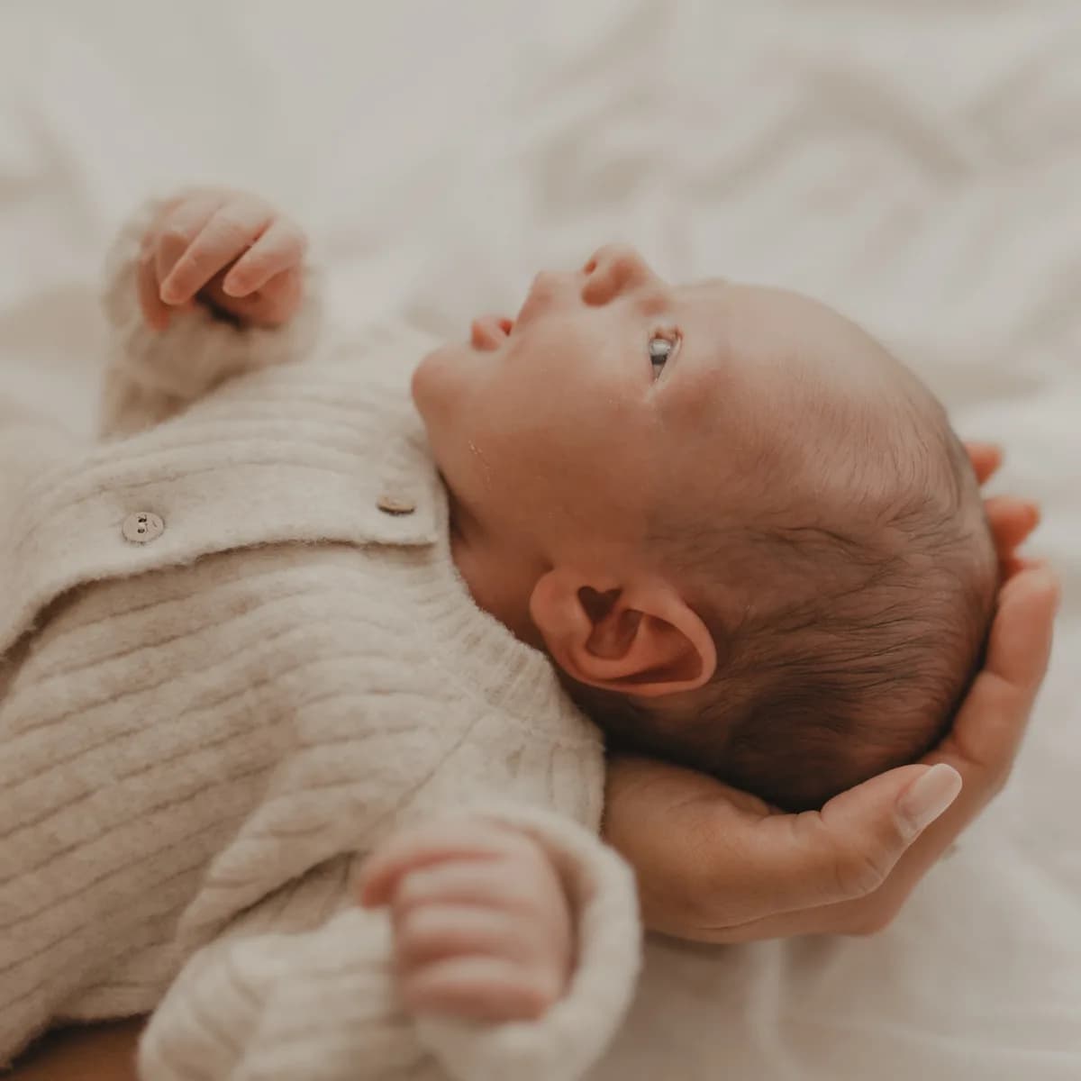 Portrait famille Adelaide Freitas Photographie